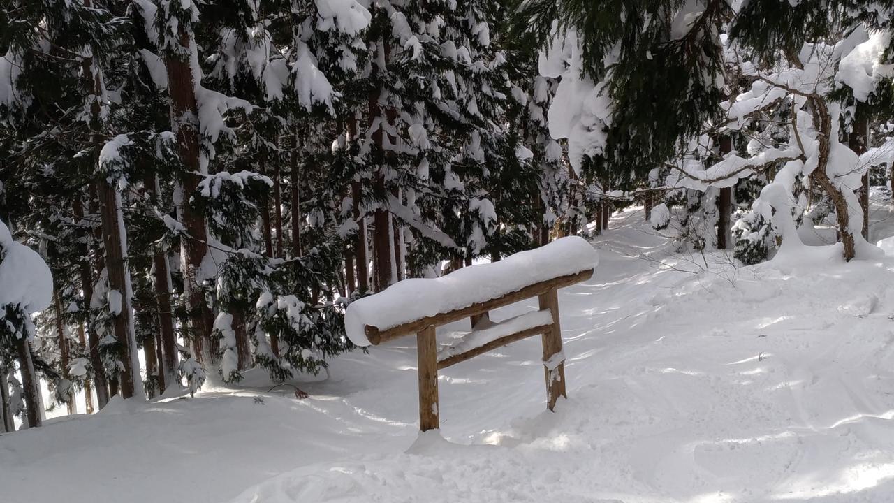 Nozawa Dream Hotell Exteriör bild