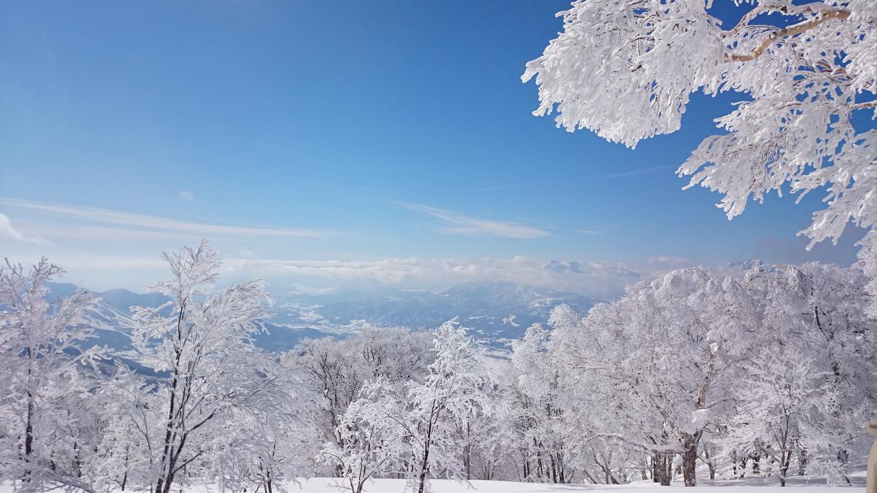 Nozawa Dream Hotell Exteriör bild