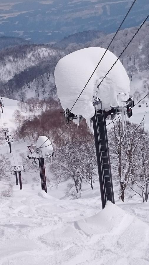 Nozawa Dream Hotell Exteriör bild