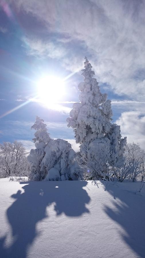 Nozawa Dream Hotell Exteriör bild